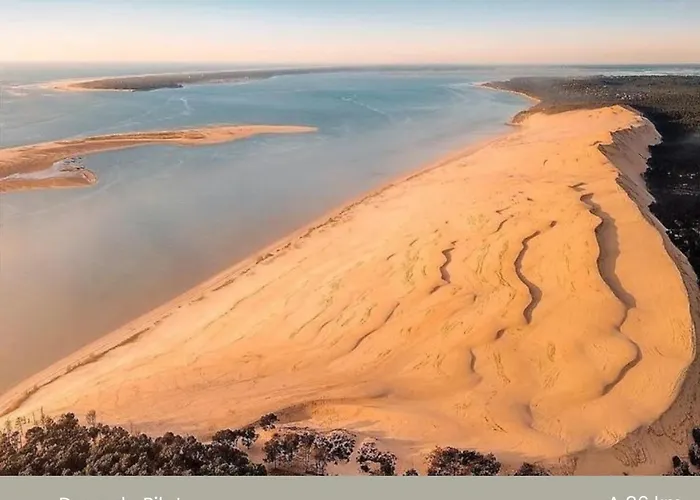 Le Clos Fleuri Proche De Bordeaux * Saint-Sulpice-et-Cameyrac